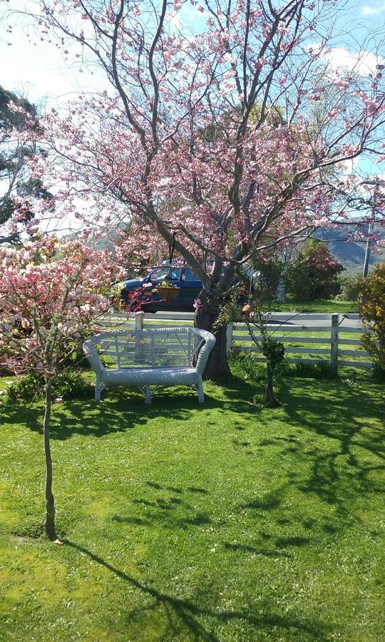 Magnolia Cottage Christchurch Exterior photo